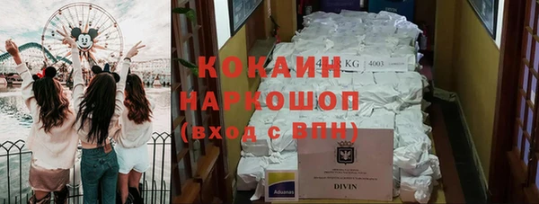 сатива Кинешма
