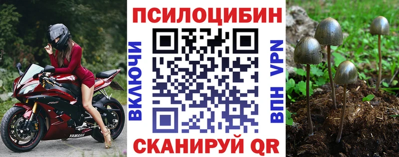 Псилоцибиновые грибы мицелий  купить  сайты  Кирсанов 